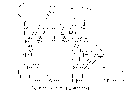 사용자 삽입 이미지